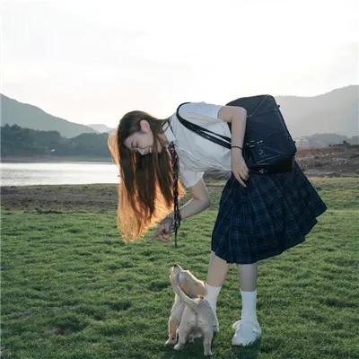 红野菊